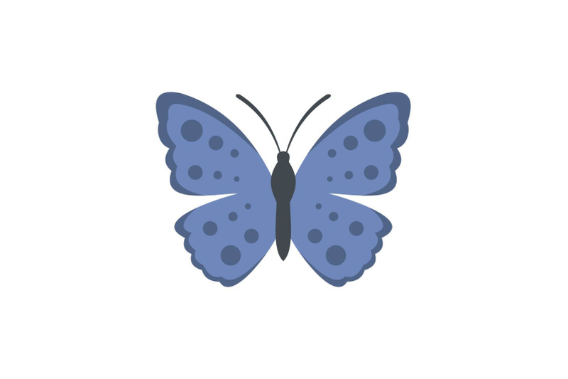 spring-butterfly-icon-flat-style