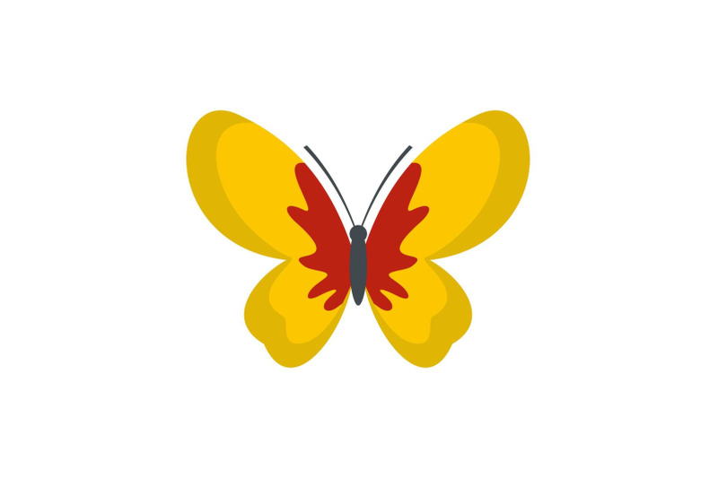 beautiful-butterfly-icon-flat-style