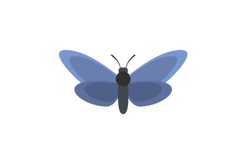 light-butterfly-icon-flat-style