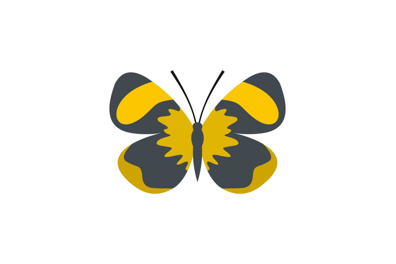 small-butterfly-icon-flat-style