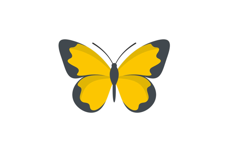 flying-butterfly-icon-flat-style