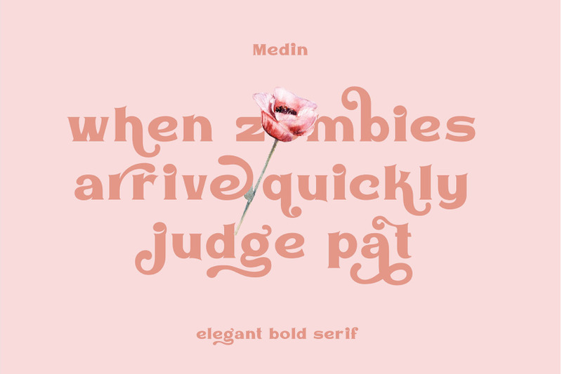 medin-elegant-bold-serif