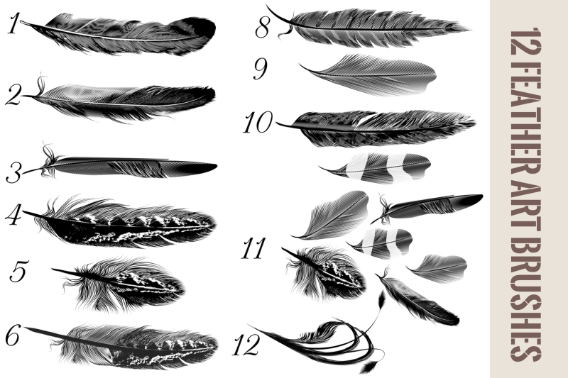 feather-brushes-for-illustrator