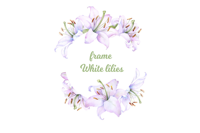round-frame-with-watercolor-nbsp-white-lilies-flowers
