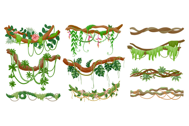 jungle-lianas-rainforest-green-vine-hanging-on-branch-cartoon-tropic