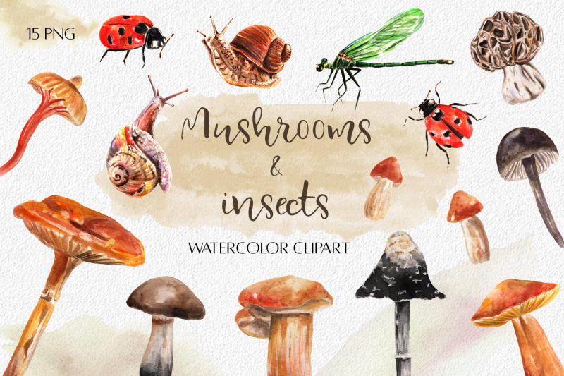 watercolor-mushrooms-and-insects-forest-life-png-snails-ladybugs