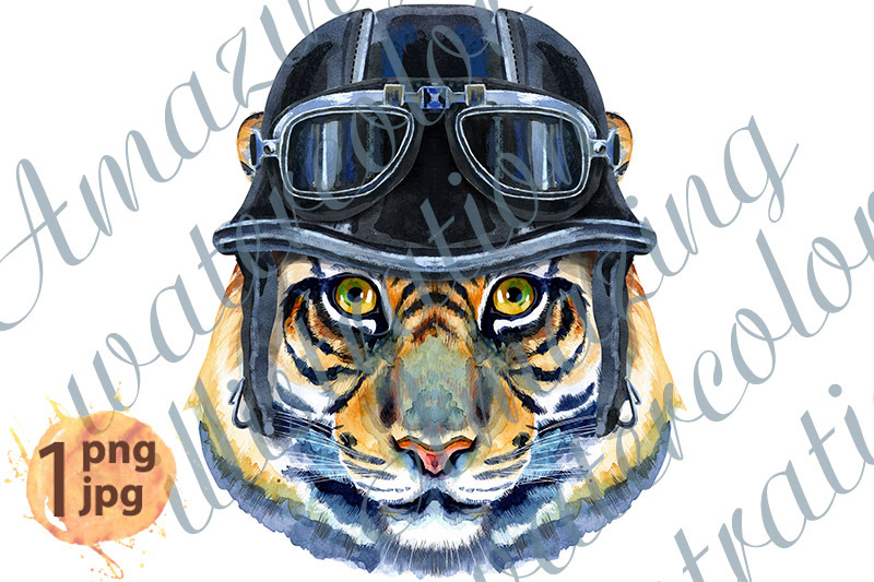 tiger-horoscope-character-watercolor-illustration-with-biker-helmet