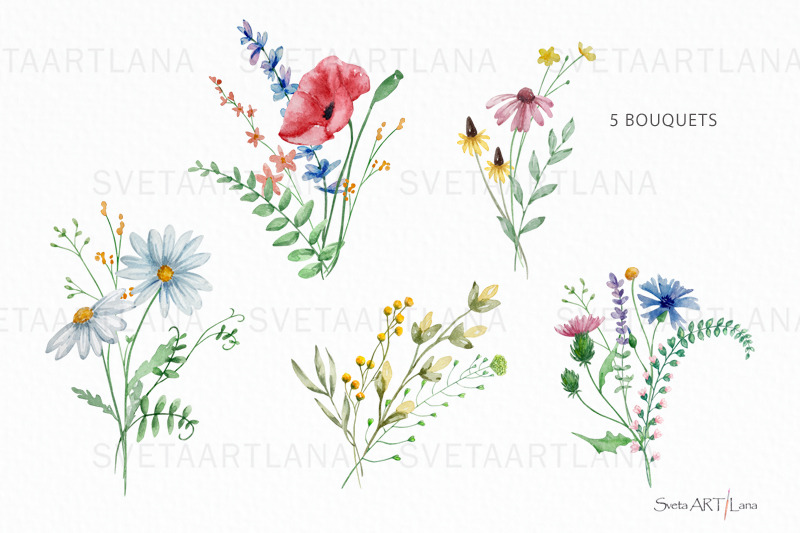 watercolor-wildflowers-clipart-meadow-clipart