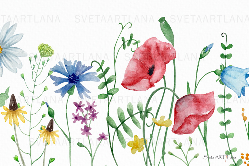 watercolor-wildflowers-clipart-meadow-clipart