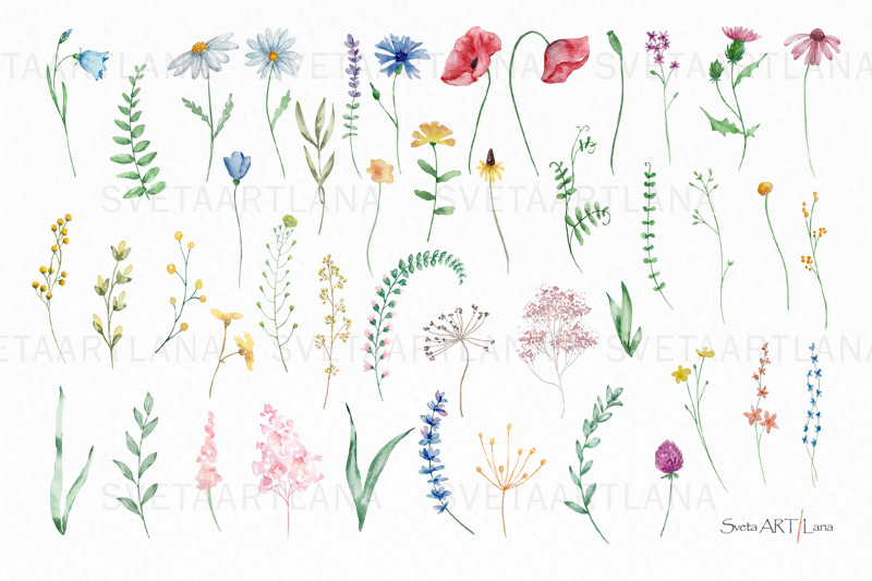 watercolor-wildflowers-clipart-meadow-clipart