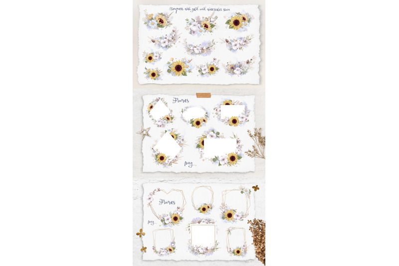 watercolor-flowers-sunflowers-and-cotton-clipart-big-set