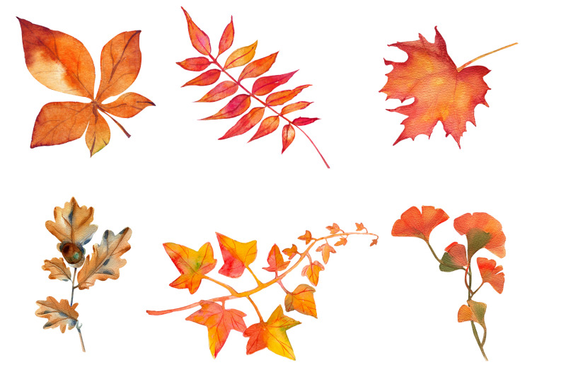 autumn-leaves-in-hand-watercolor-clipart