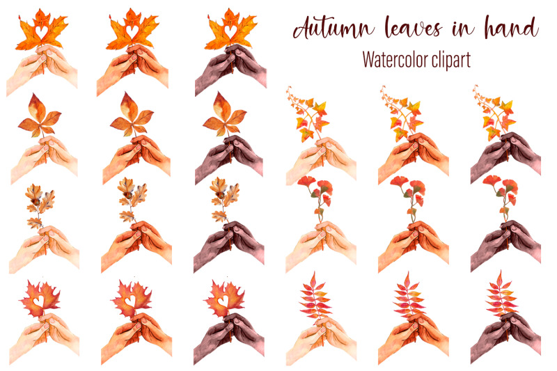 autumn-leaves-in-hand-watercolor-clipart