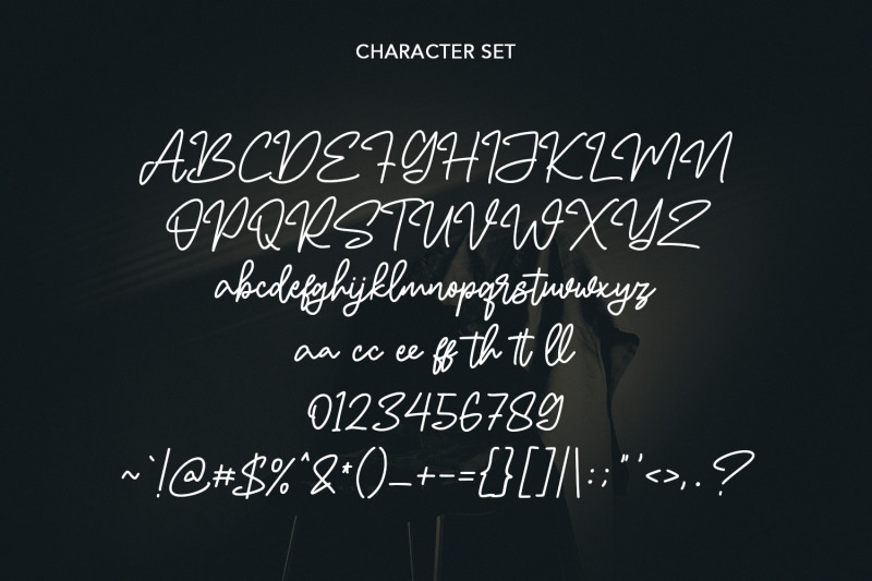 north-glides-signature-script-font