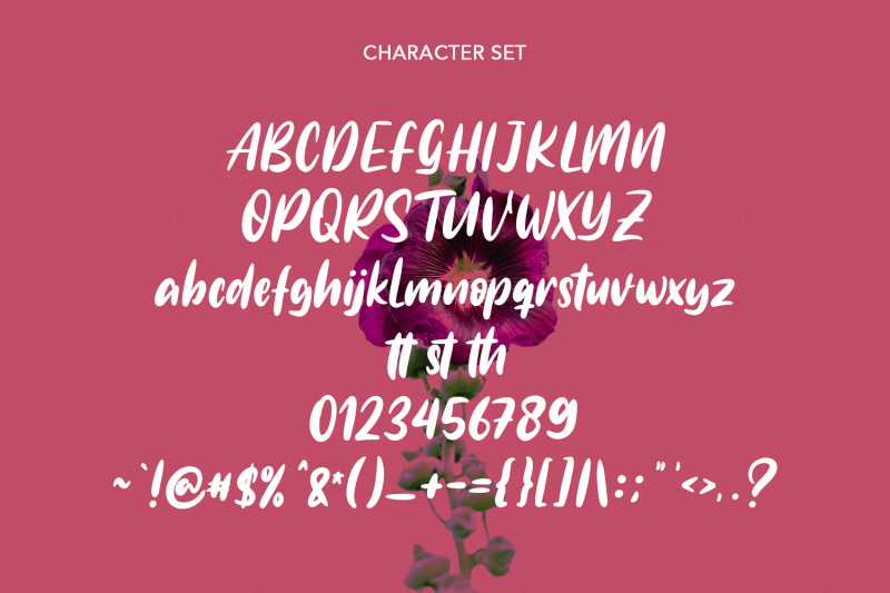 northports-display-font