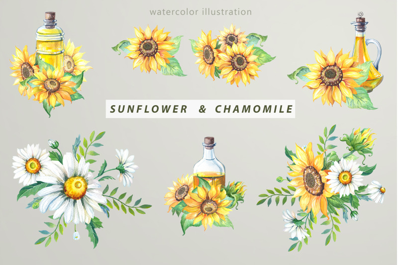watercolor-sunflower-amp-chamomile