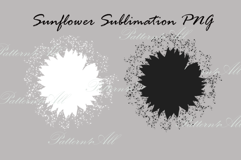 sunflower-sublimation-png-hand-drawing-black-and-white-sunflower-spla