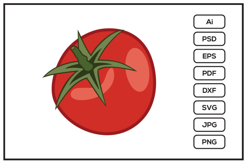 tomato-design-illustration