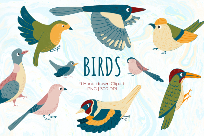 hand-drawn-birds-clipart-garden-birds-png