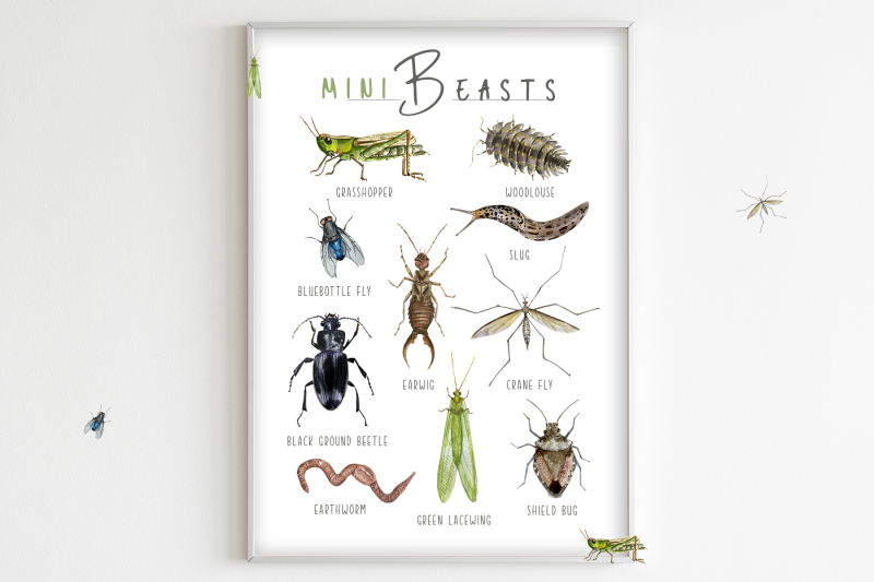 minibeasts-watercolor-clip-arts-stickers-and-poster