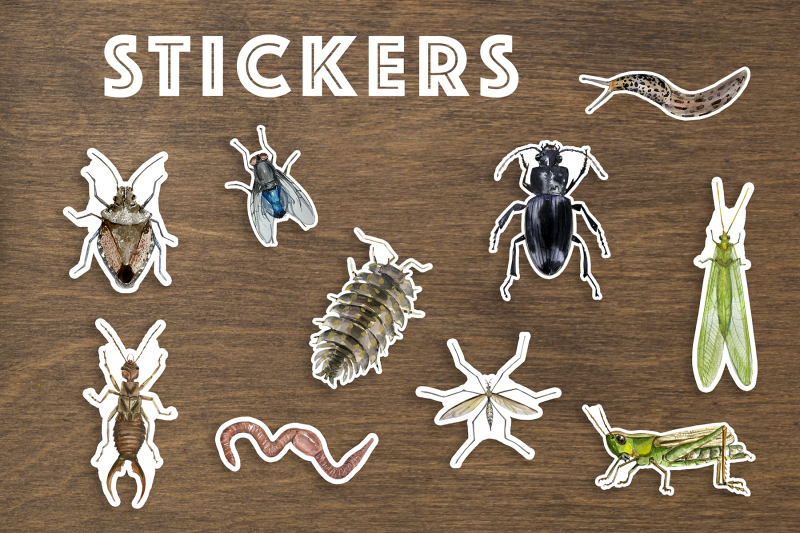 minibeasts-watercolor-clip-arts-stickers-and-poster
