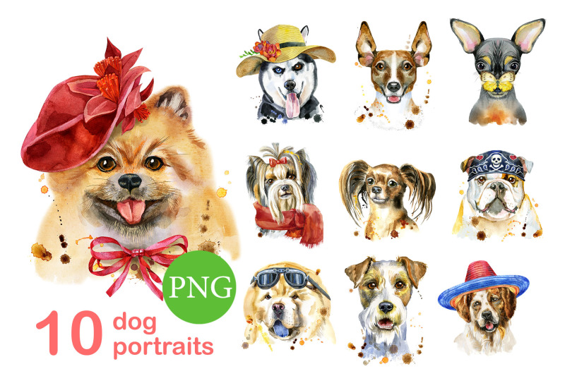 10-watercolor-dog-portraits-11