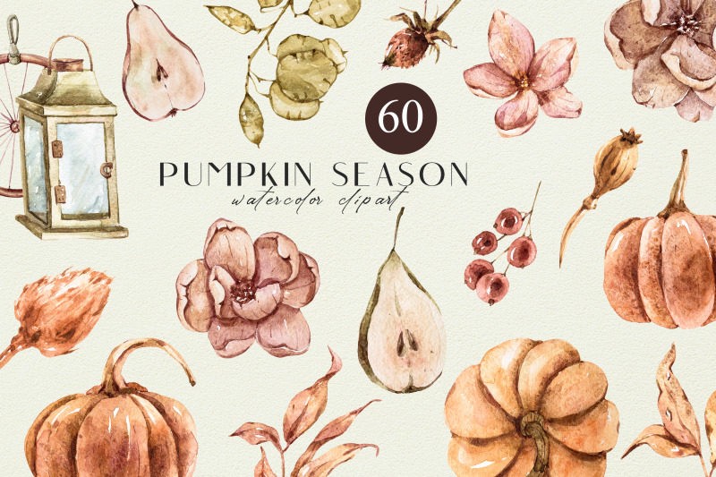 floral-fall-clipart-pumpkin-illustrations-60-png-files