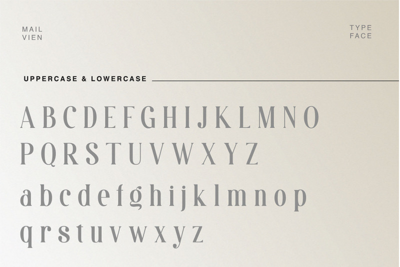 mailvien-modern-ligature-typeface