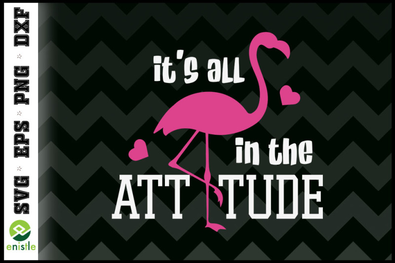 flamingo-it-039-s-all-in-the-attitude