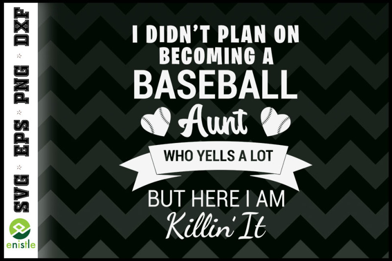 i-didnt-plan-on-becoming-a-baseball-aunt