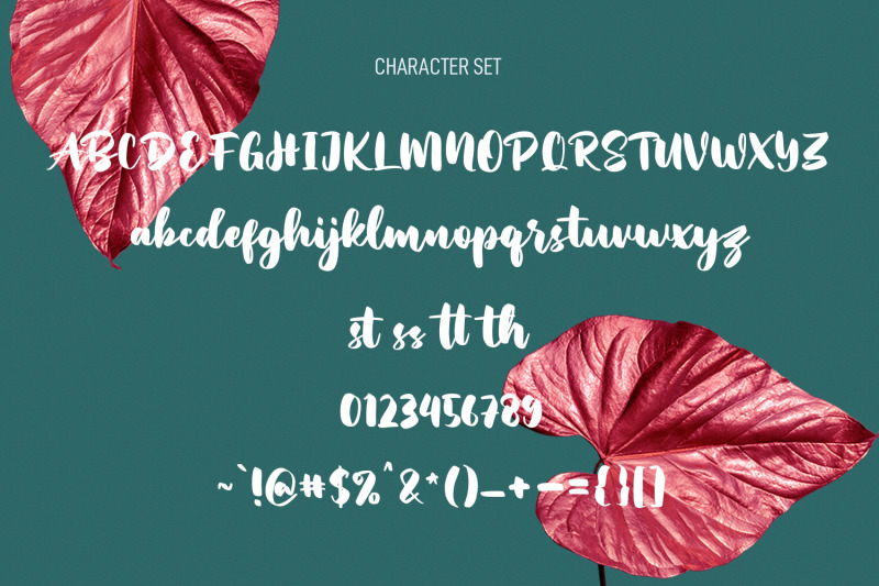 hopipolla-script-font