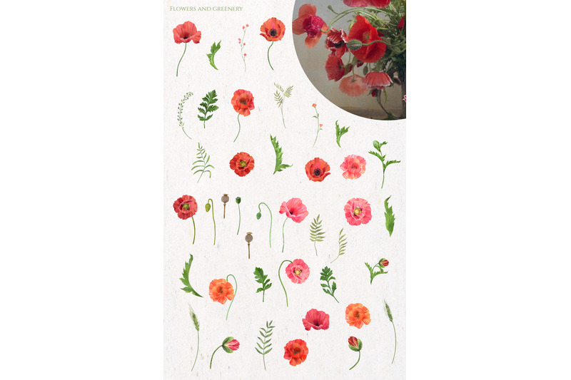 red-poppies-watercolor-collection