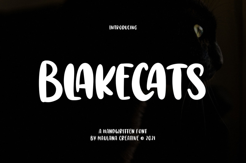 blakecats-handwritten-font