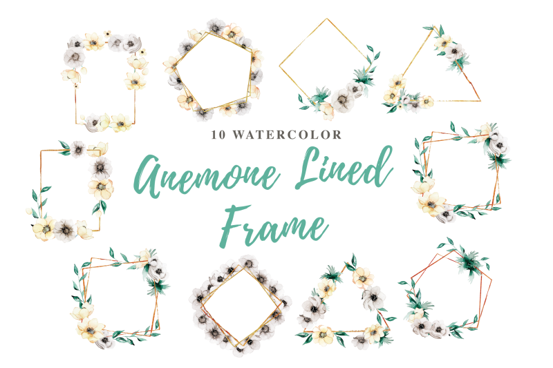 10-watercolor-anemone-lined-frame-illustration-graphics