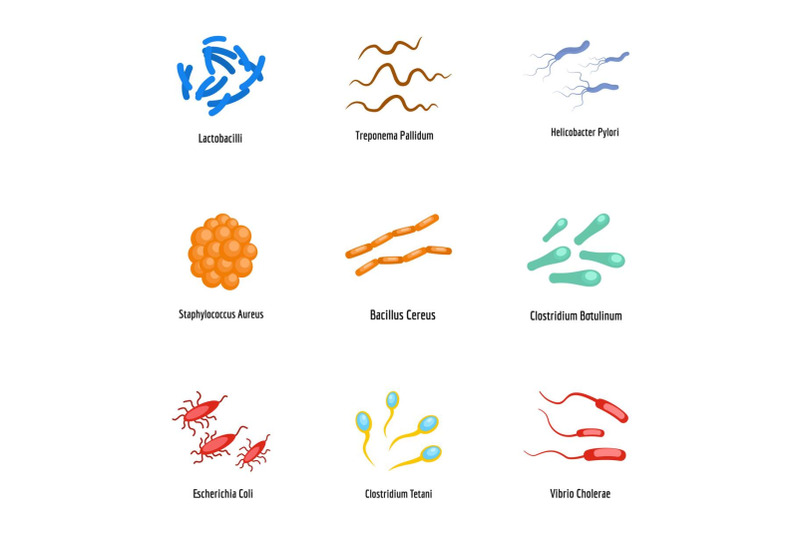 organism-icons-set-flat-style