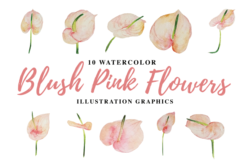 10-watercolor-blush-pink-flowers-illustration-graphics