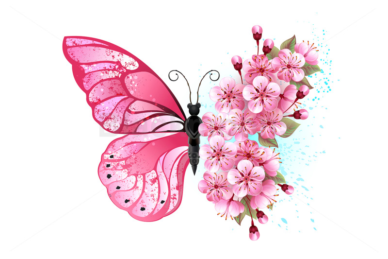 flower-butterfly-with-pink-sakura
