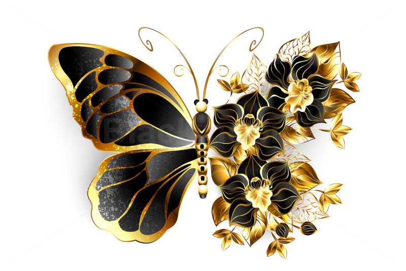 gold-flower-butterfly-with-black-orchid