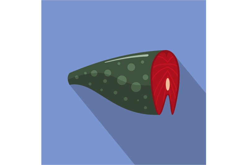 salmon-icon-flat-style