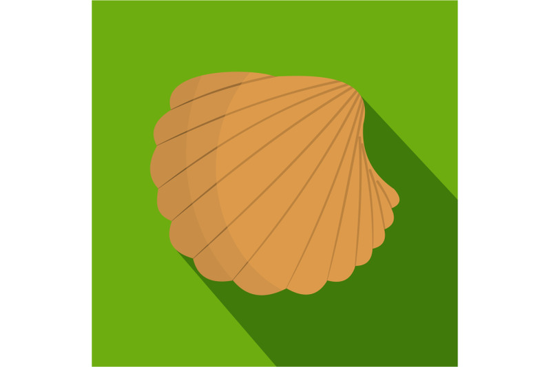 nature-shell-icon-flat-style