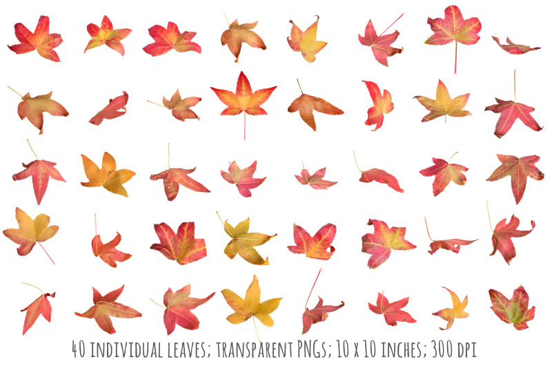 falling-autumn-leaf-overlays