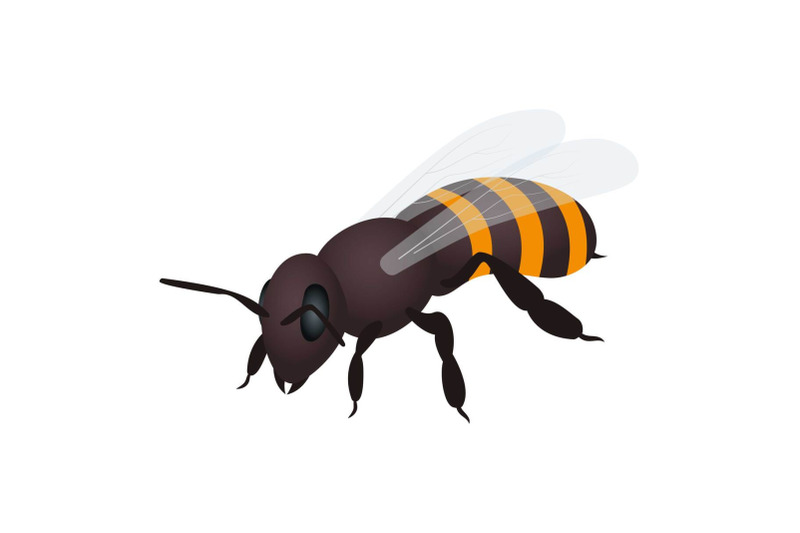 bee-icon-isometric-style