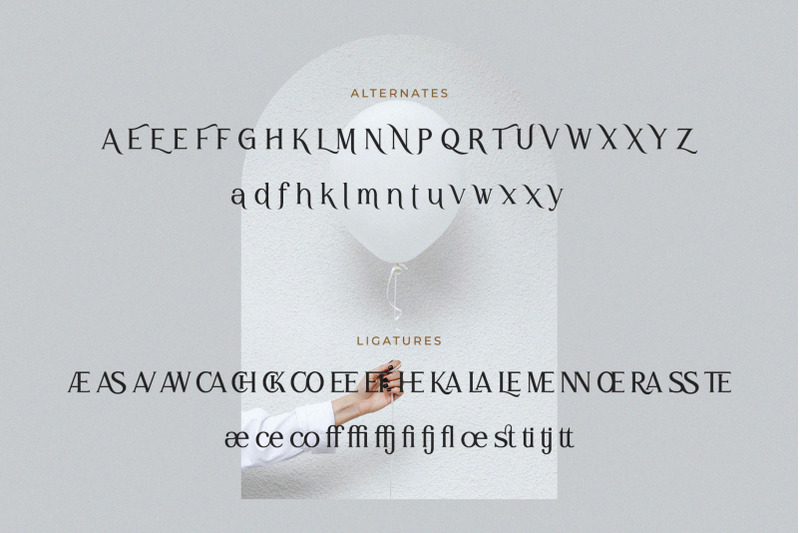 herotenn-stylish-ligature-serif