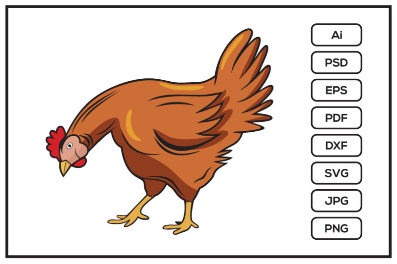 chicken-design-illustration