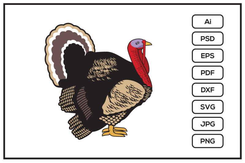 turkey-design-illustration