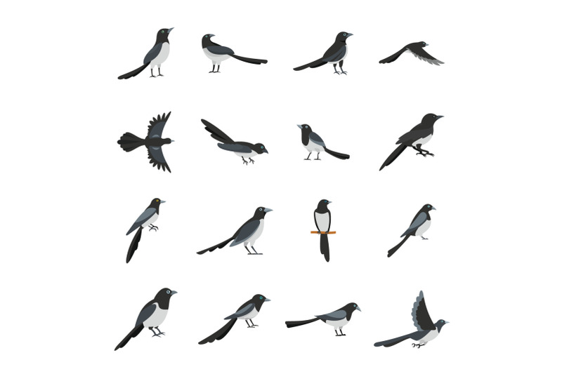 magpie-crow-bird-icons-set-flat-style