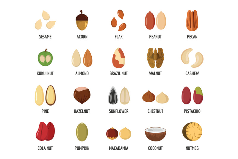 nut-types-with-signed-names-icons-set-flat-style