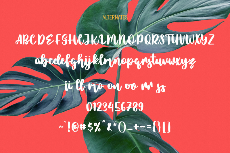 lostmithy-script-display-font