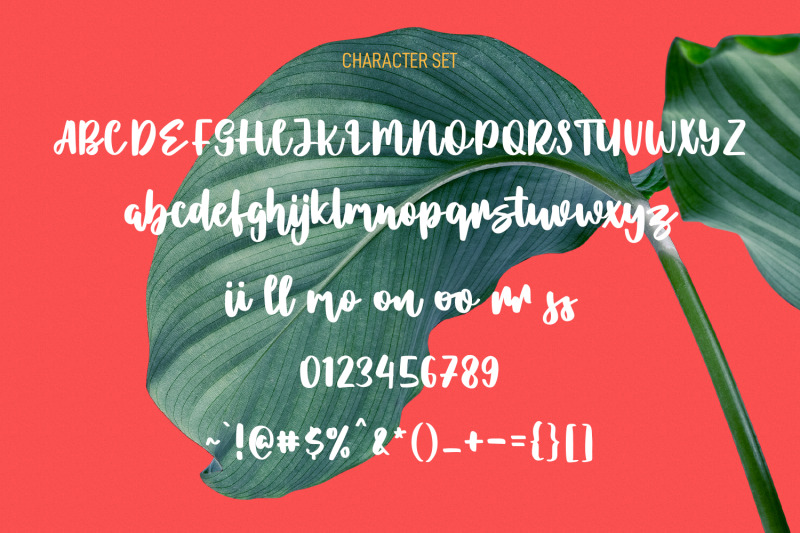 lostmithy-script-display-font