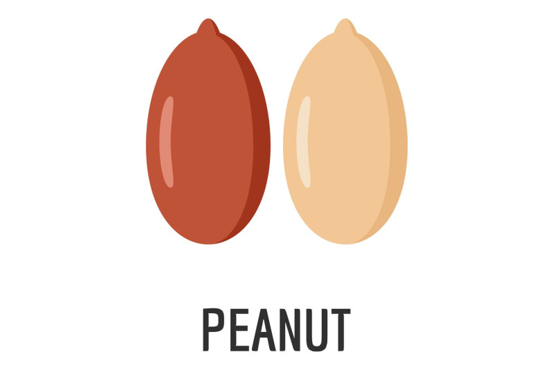 peanut-icon-flat-style